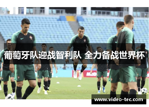葡萄牙队迎战智利队 全力备战世界杯